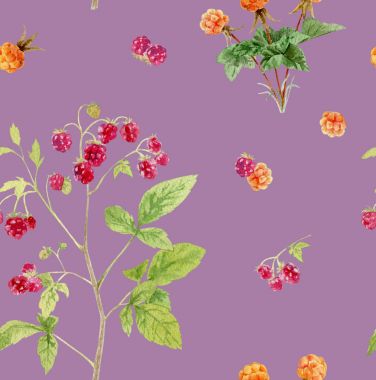 Dikişsiz desen tekrarlanan kiremit suluboya çilek