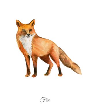 Handpainted watercolor poster with fox clipart