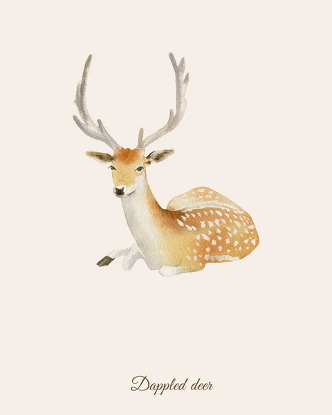 Ręcznie malowane akwarela plakat z jelenia — Zdjęcie stockowe