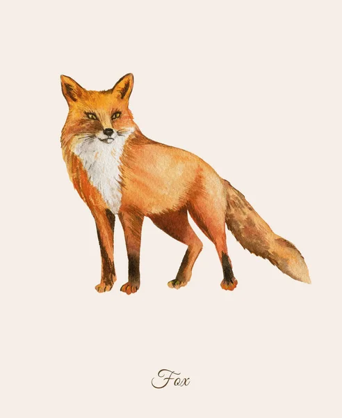 Handpainted watercolor poster with fox — Stock Photo, Image