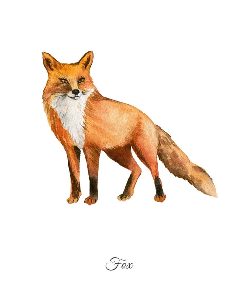 Handpainted watercolor poster with fox — Stock Photo, Image