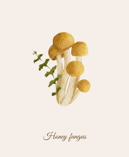 Handpainted ακουαρέλα αφίσα με μέλι μύκητα — Φωτογραφία Αρχείου