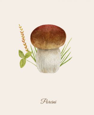 Handpainted suluboya poster porcini mantar ile