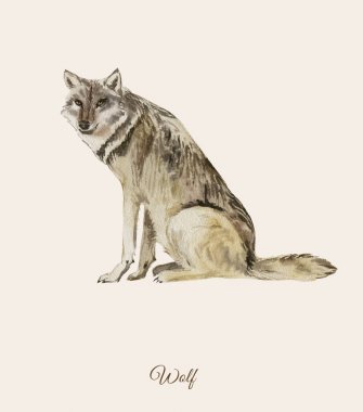 Handpainted watercolor poster with wolf clipart
