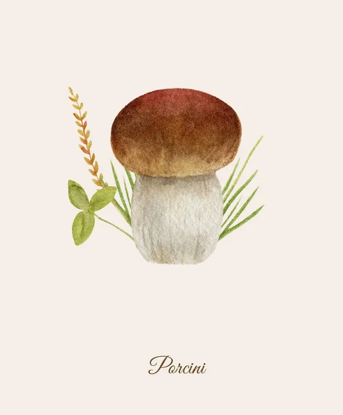 Handmålad akvarell affisch med porcini svamp — Stockfoto