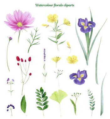 Clipboard of handpainted watercolor flowers and florals clipart