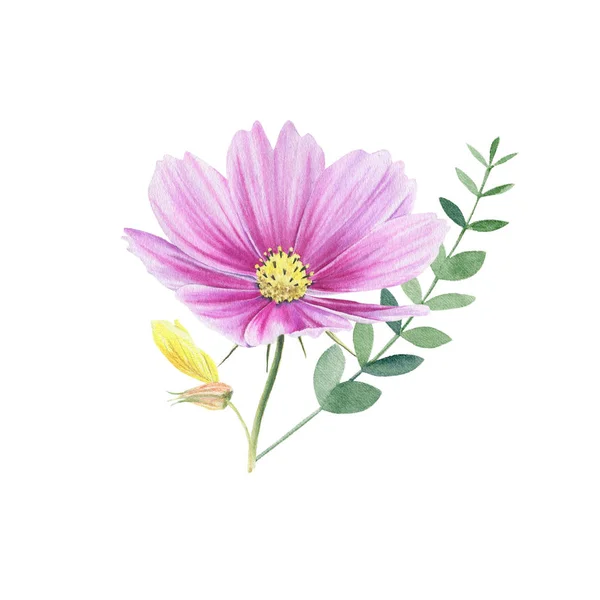 Beautiful watercolor floral clipart isolated — Stock Photo, Image