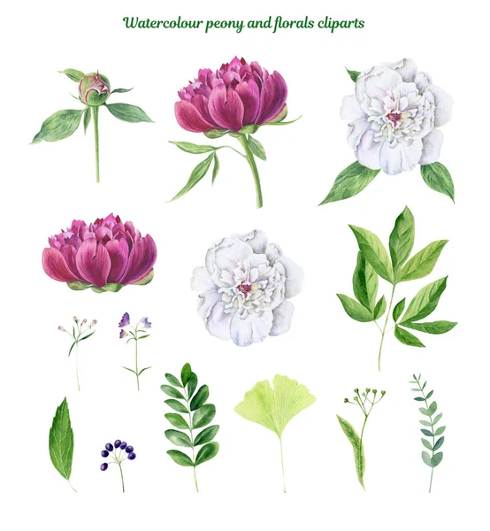 Klembord van handbeschilderd aquarel bloemen en florals — Stockfoto