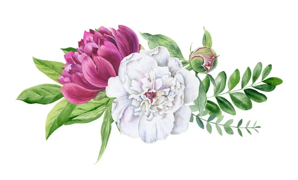 Όμορφη ακουαρέλα floral clipart απομονωμένες — Φωτογραφία Αρχείου