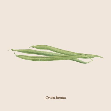 Handpainted suluboya poster yeşil fasulye ile