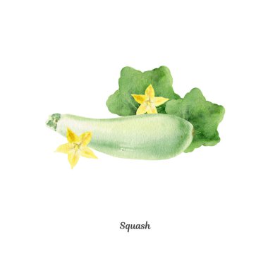 Squash handpainted suluboya poster