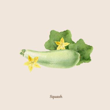 Squash handpainted suluboya poster