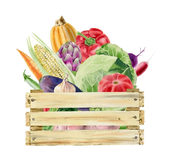 Clipart acuarela de verduras en caja —  Fotos de Stock