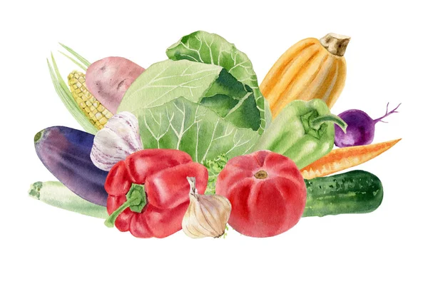 新鮮な野菜と手描き水彩アート — ストック写真