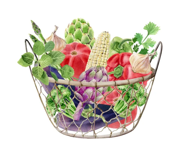 Handbemaltes Aquarell-Cliparts mit frischem Gemüse im Korb — Stockfoto