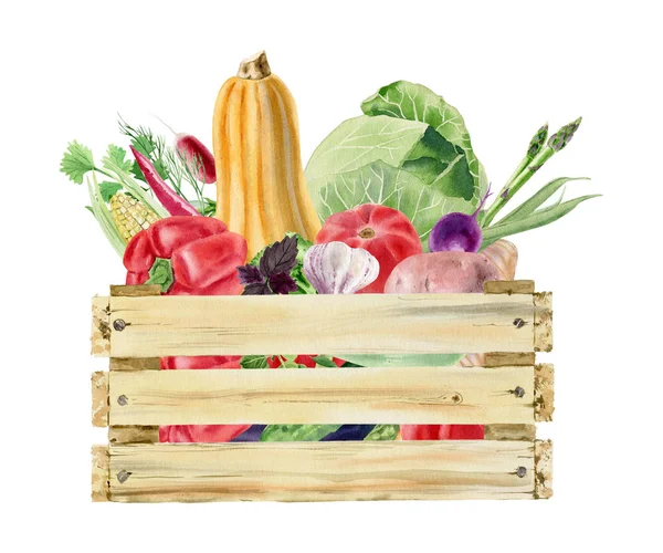 Handbemaltes Aquarell-Cliparts mit frischem Gemüse in Schachtel — Stockfoto