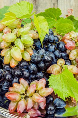 bir tepsi üzerinde olgunlaşmış sulu üzüm.