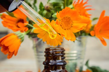 Küçük şişe calendula yağı (Pot kadife çiçeği özü, tentür, infüzyon)