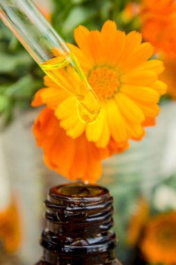 Küçük şişe calendula yağı (Pot kadife çiçeği özü, tentür, infüzyon)