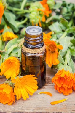 Küçük şişe calendula yağı (Pot kadife çiçeği özü, tentür, infüzyon)