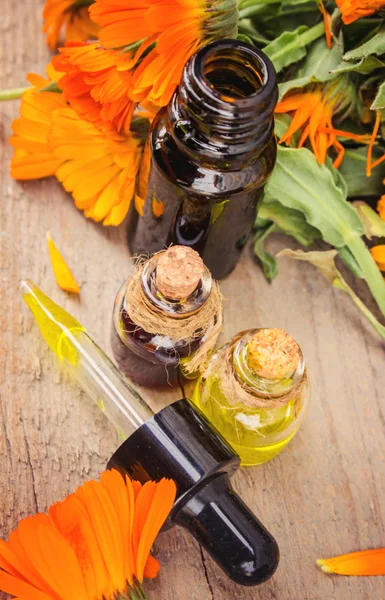 Kleine fles van calendula olie (Pot Goudsbloem extract, tinctuur, infusie) — Stockfoto