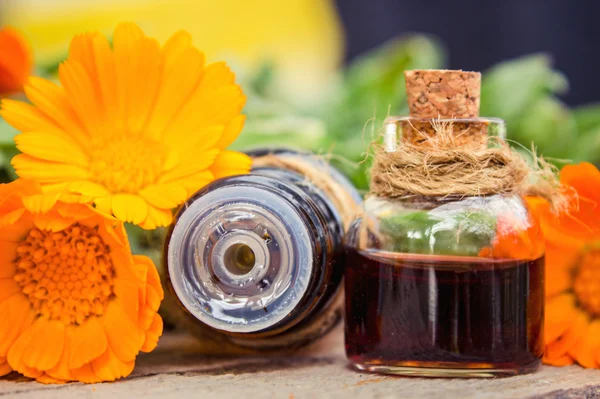 Small bottle of calendula oil (Pot marigold extract, tincture, infusion) — Stock Photo, Image