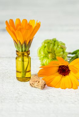 Küçük şişe calendula yağı (özü, tentür, infüzyon)