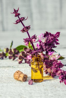 küçük bir şişe içinde fesleğen ilaçlar otlar ayıklamak