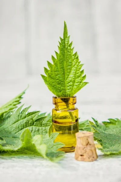 nettles in a small bottle (decoction, tincture, extract, oil).