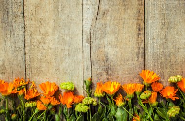 ahşap arka plan (metin için yer üzerinde ot calendula officinalis).