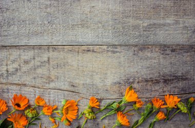 ahşap arka plan (metin için yer üzerinde ot calendula officinalis).