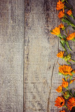 ahşap arka plan (metin için yer üzerinde ot calendula officinalis).