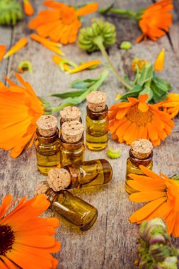 ahşap arka plan (metin için yer üzerinde ot calendula officinalis).