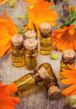 ahşap arka plan (metin için yer üzerinde ot calendula officinalis).