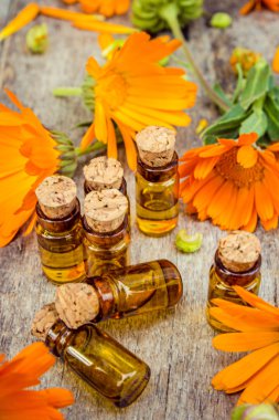 ahşap arka plan (metin için yer üzerinde ot calendula officinalis).