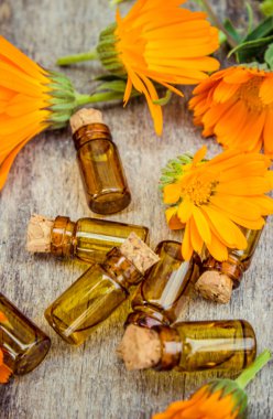 ahşap arka plan (metin için yer üzerinde ot calendula officinalis).