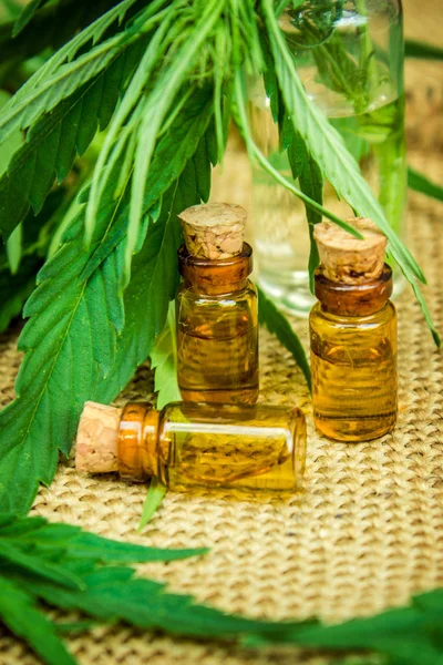 Cannabis for treatment (decoction, tincture, extract oil). — Stock Photo, Image