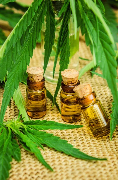 Cannabis zur Behandlung (Sud, Tinktur, Öl-Extrakt)). — Stockfoto