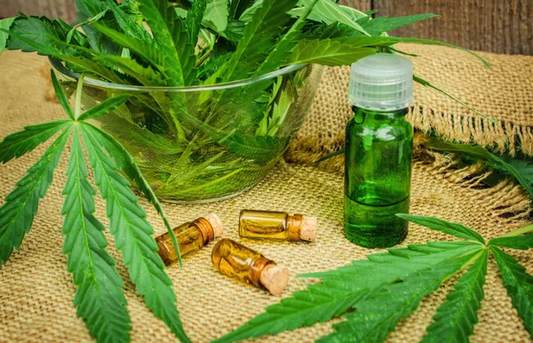 Cannabis for treatment (decoction, tincture, extract oil). — Stock Photo, Image