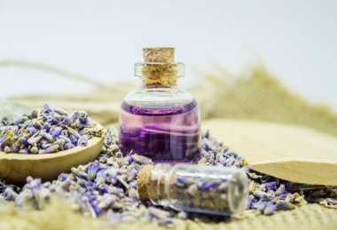 Lavanta esansiyel yağı küçük bir şişe içinde.