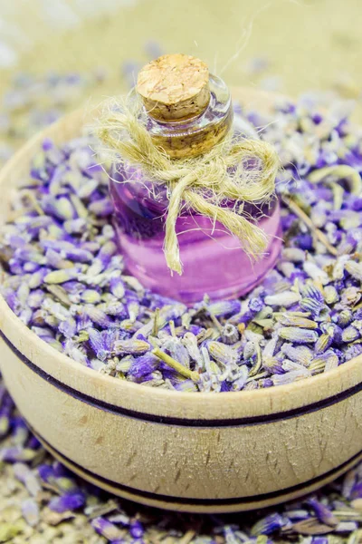 Óleo essencial de lavanda em uma pequena garrafa . — Fotografia de Stock