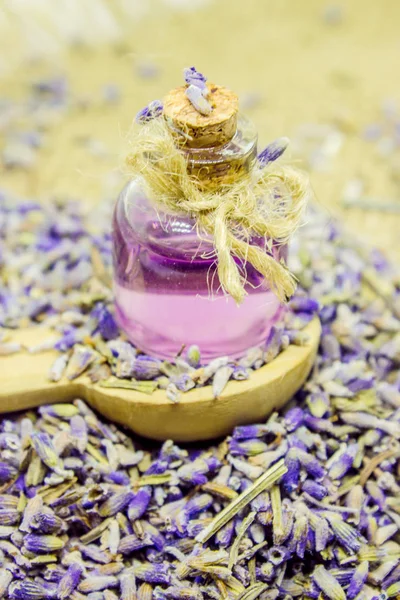 Óleo essencial de lavanda em uma pequena garrafa . — Fotografia de Stock