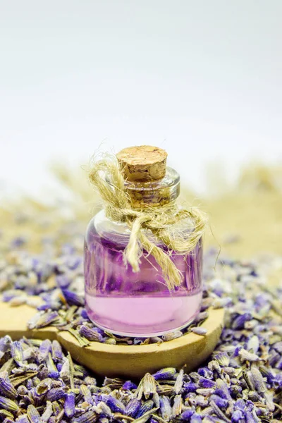 Óleo essencial de lavanda em uma pequena garrafa . — Fotografia de Stock