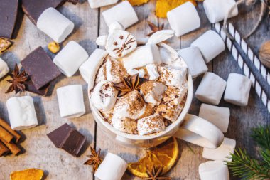 hatmi yavru kedi ile sıcak kakao. 