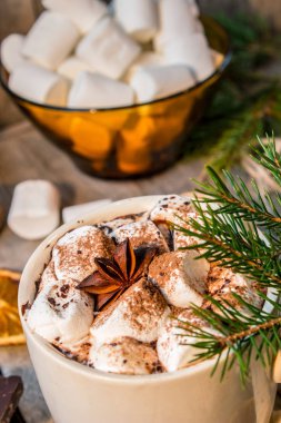 sıcak kakao marshmallows ile. Noel arka plan. 