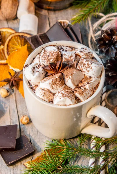 Hot cocoa with marshmallows. Christmas background. — Stock Photo, Image