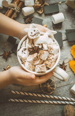 hatmi yavru kedi ile sıcak kakao. 