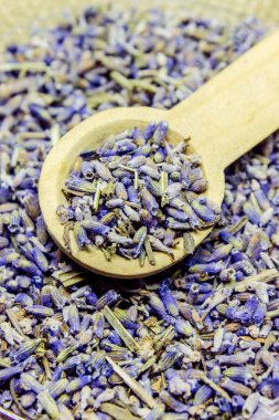 Lavanta esansiyel yağı küçük bir şişe içinde.