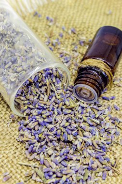 Lavanta esansiyel yağı küçük bir şişe içinde.