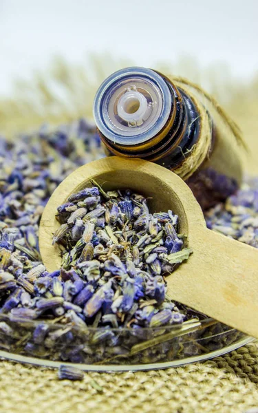 Óleo essencial de lavanda em uma pequena garrafa . — Fotografia de Stock